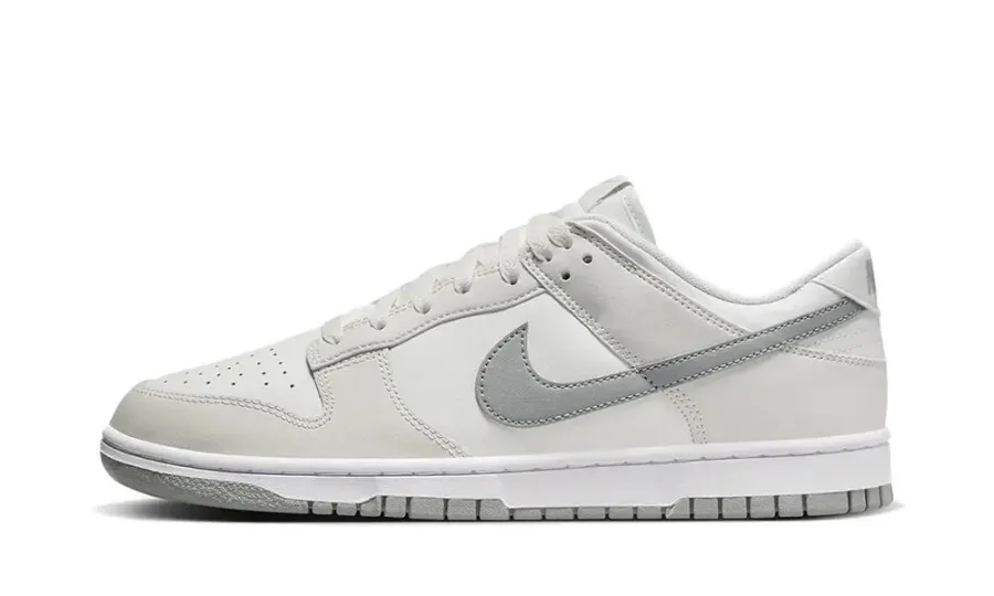 Nike Dunk Low Retro 'Summit White Light Smoke Grey'